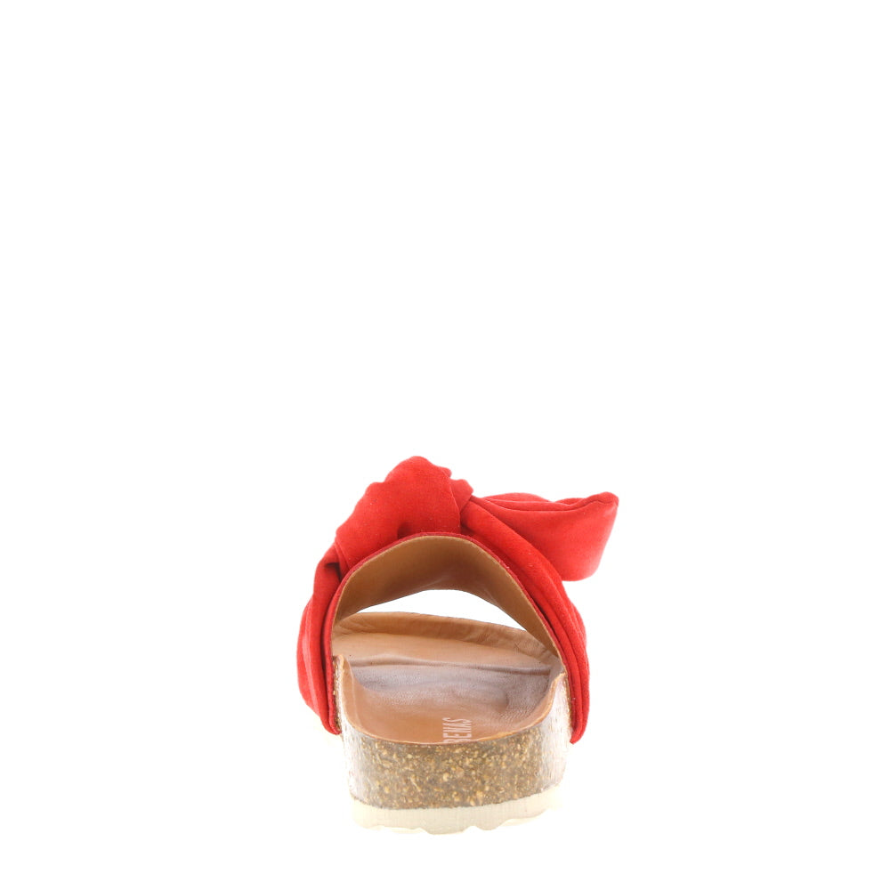 Verbenas 'Roxy' / Fuego