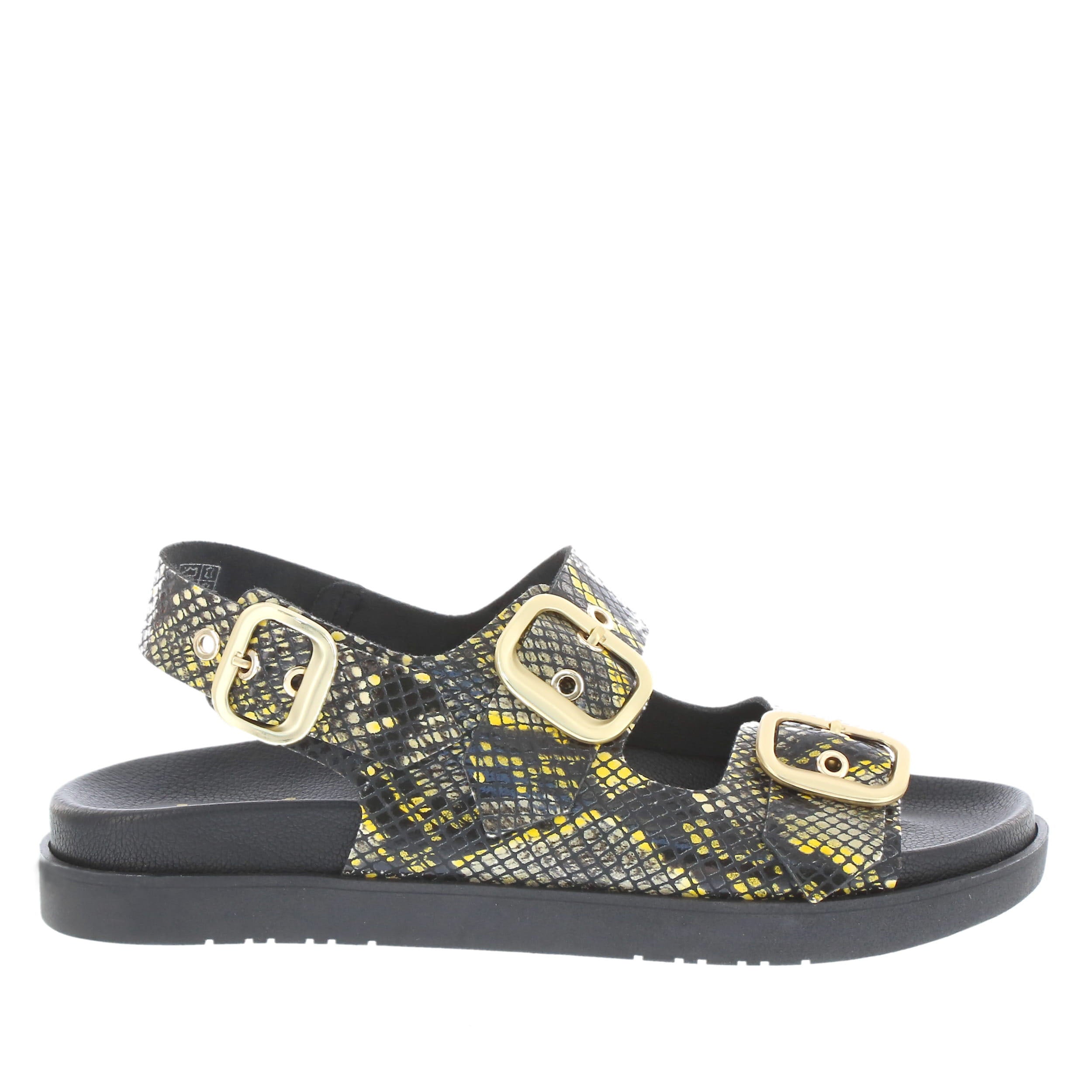 Yokono 'Morena-253' / Amarillo