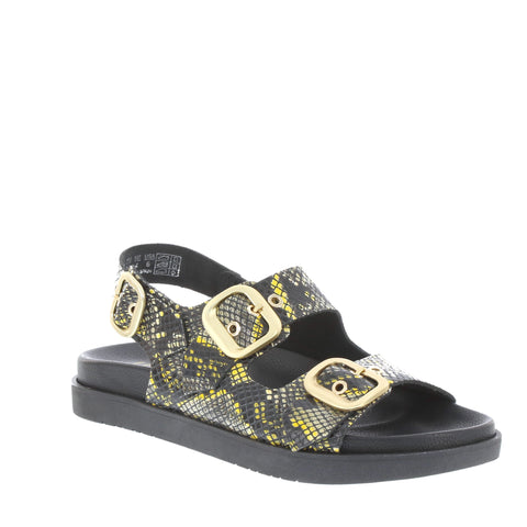 Yokono 'Morena-253' / Amarillo