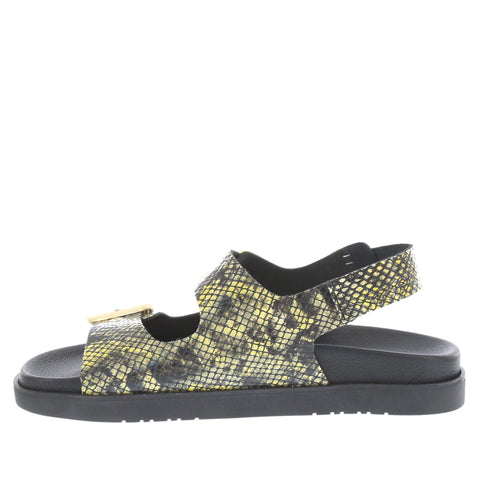 Yokono 'Morena-253' / Amarillo