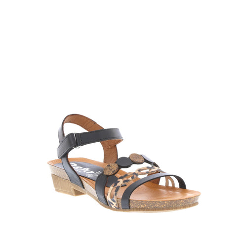 Zeta 'Idalia' / Negro/Leo/Bruciato