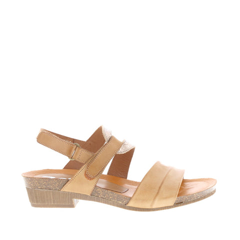 Zeta 'Invert' / Avellana/Cava