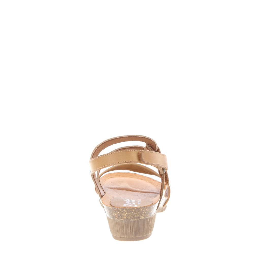 Zeta 'Invert' / Avellana/Cava