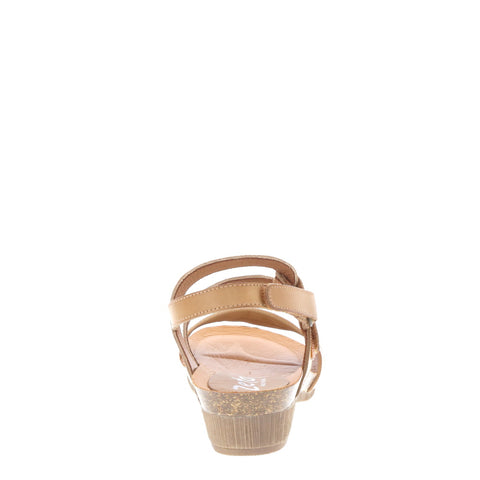 Zeta 'Invert' / Avellana/Cava