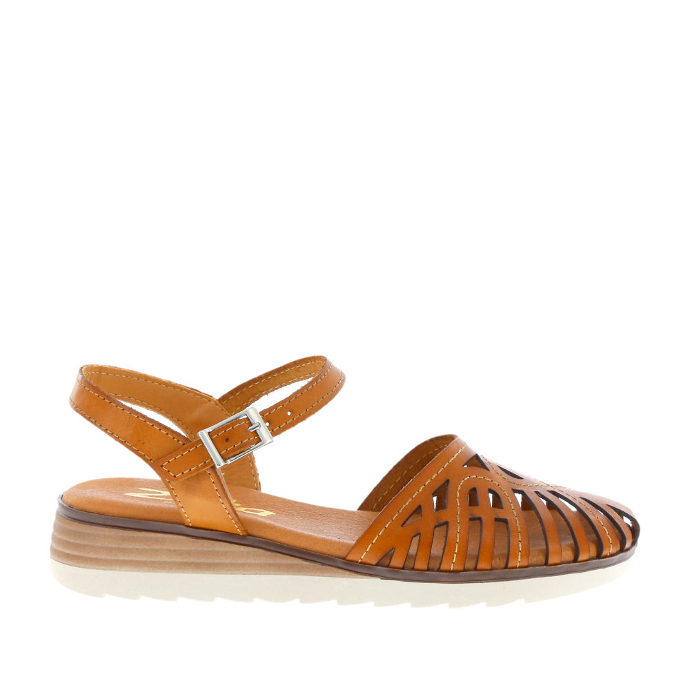 Zeta 'Maura' / Avellana