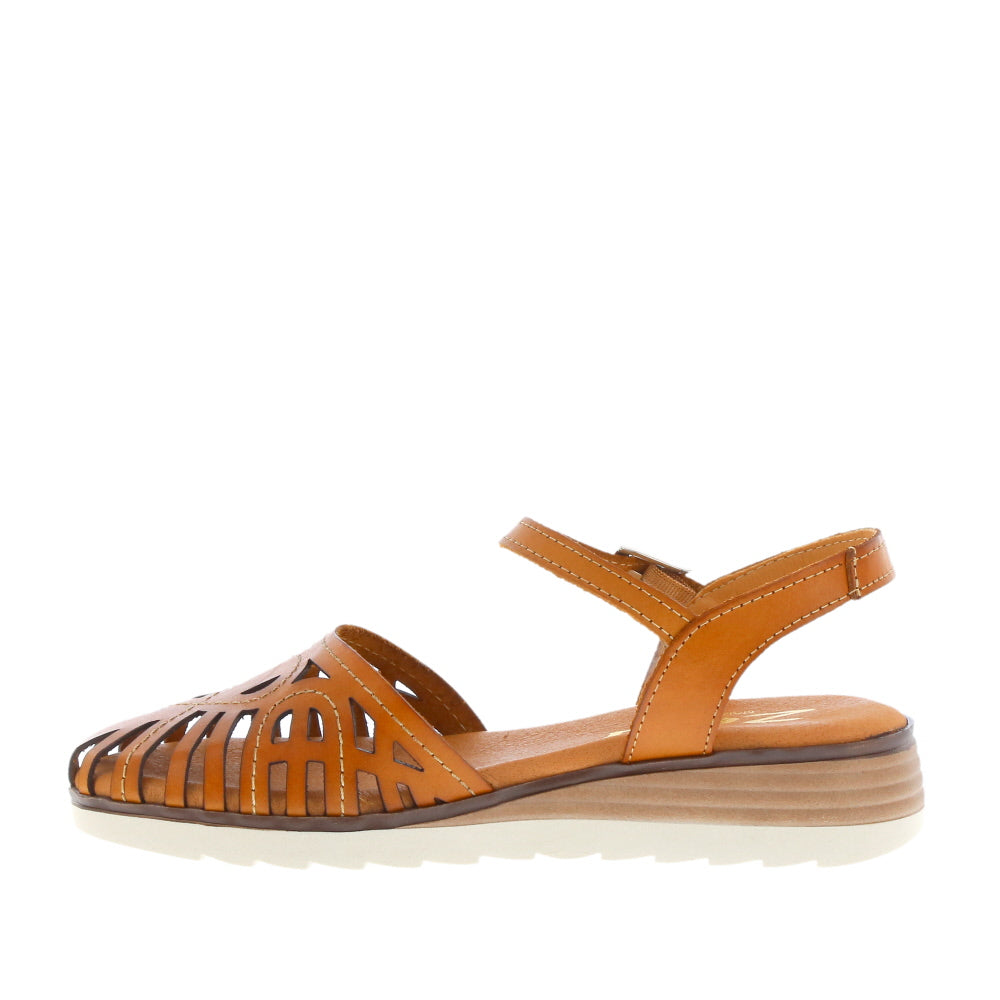 Zeta 'Maura' / Avellana