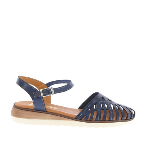 Zeta 'Maura' / Dark Blue
