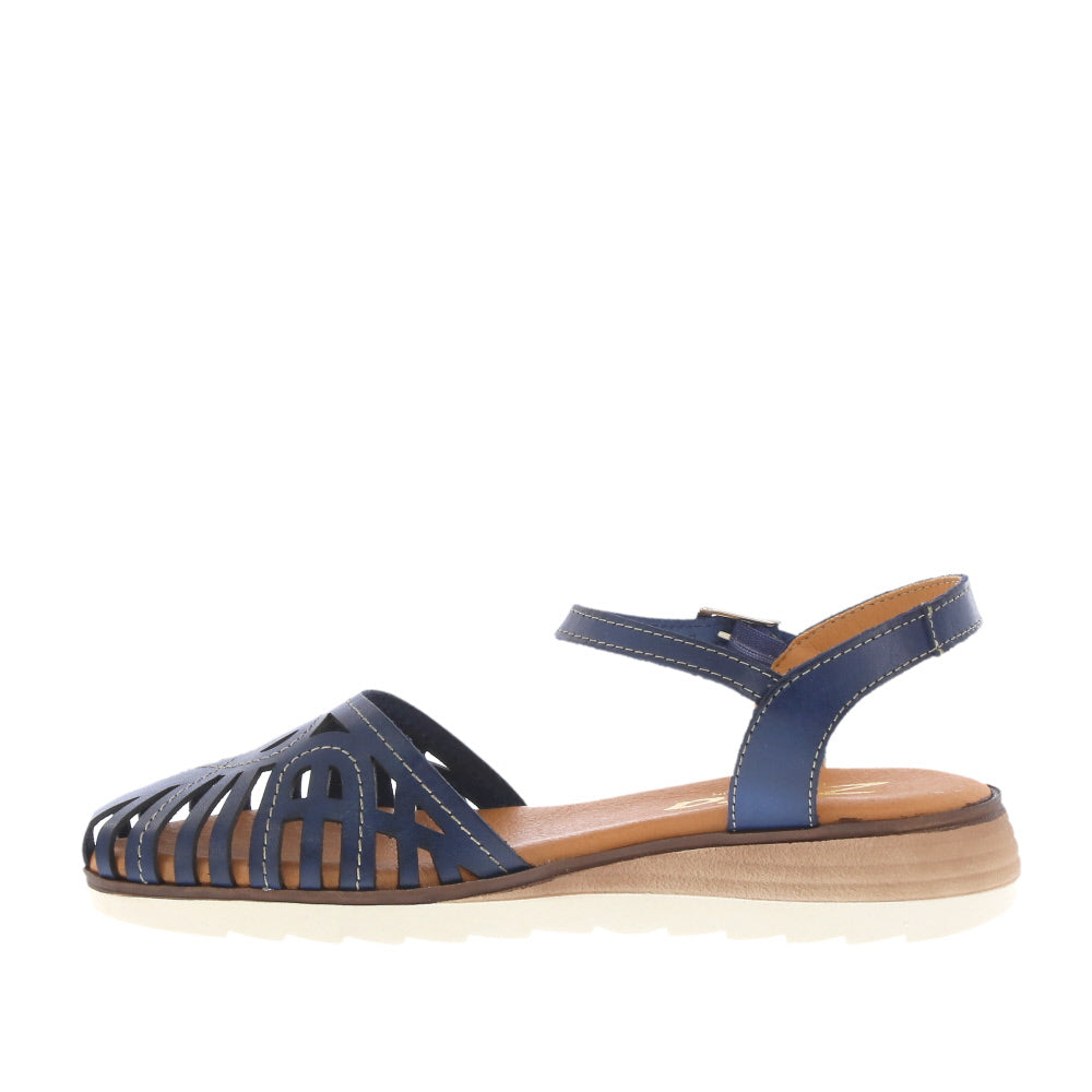 Zeta 'Maura' / Dark Blue