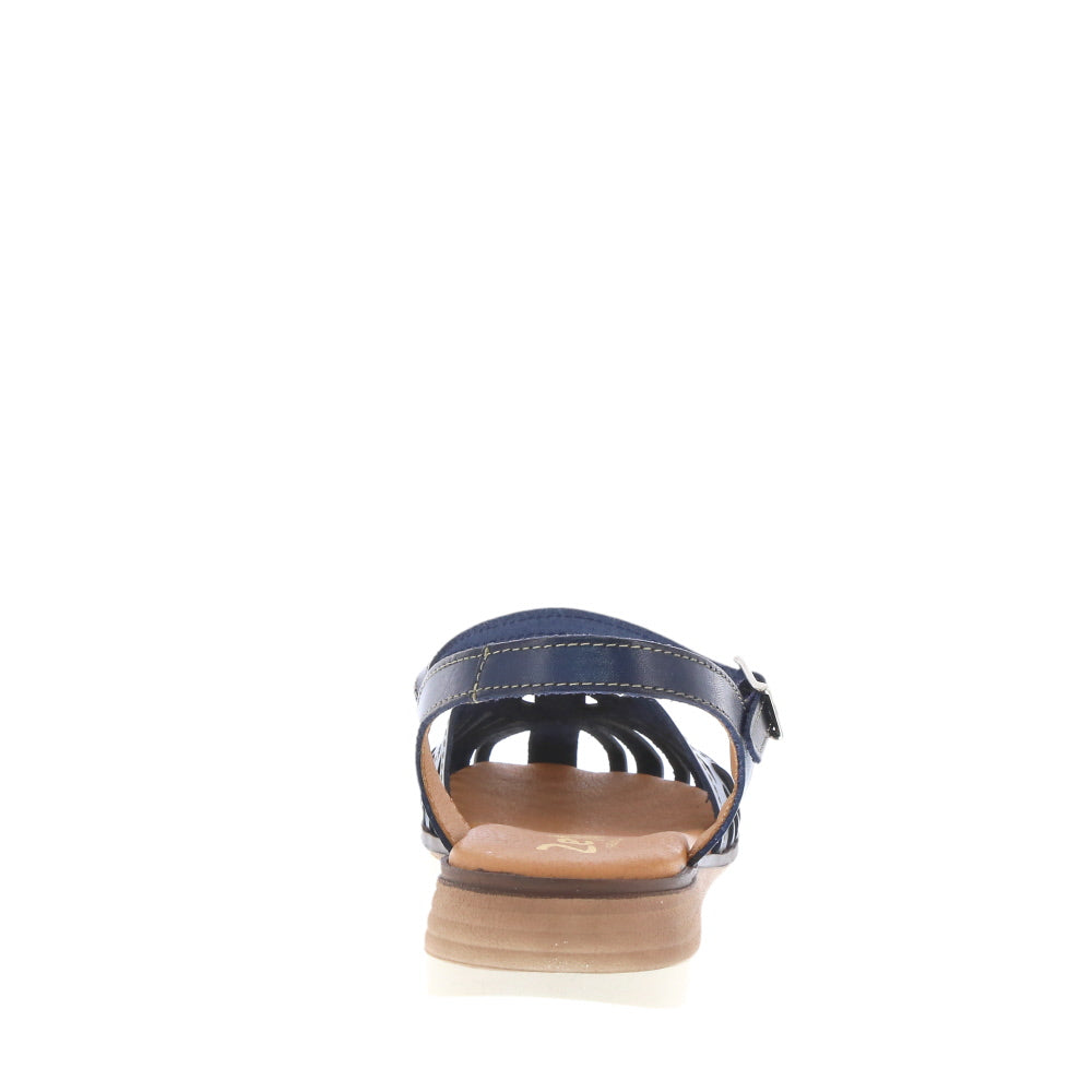 Zeta 'Maura' / Dark Blue