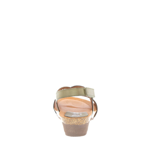 Zeta 'Orion' / Palma/Bronce