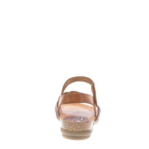Zeta 'Rachel' / Roble