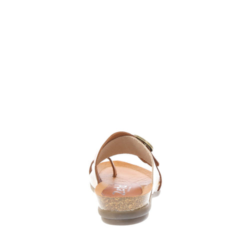 Zeta 'Rivka' / Cuero/Cava