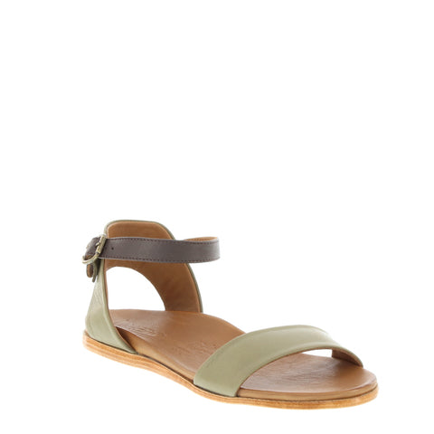 Bueno 'Stella' / Brook/Brown Toledo