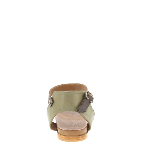 Bueno 'Stella' / Brook/Brown Toledo