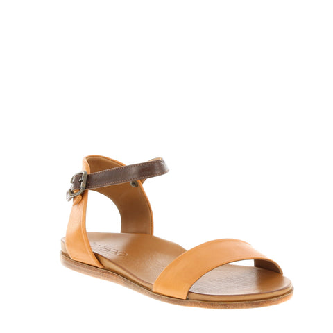 Bueno 'Stella' / Coconut/Brown Toledo