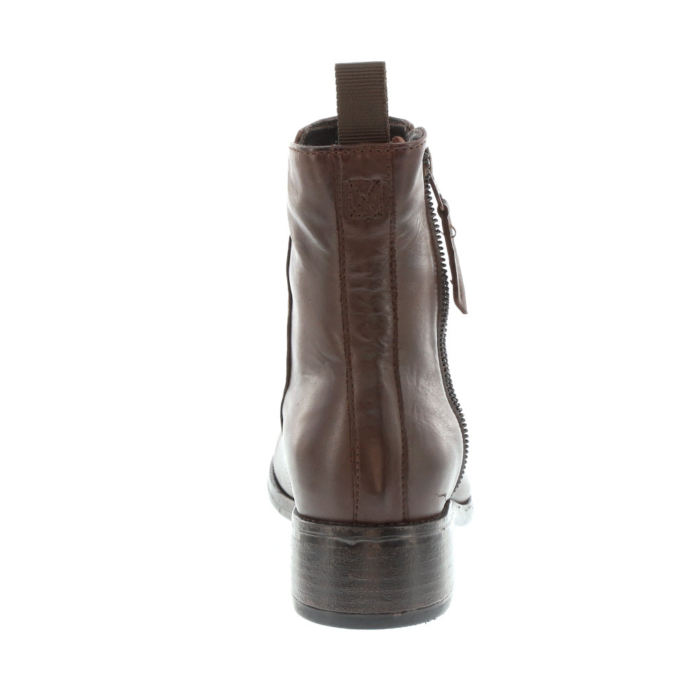EOS 'Celi' / Chestnut