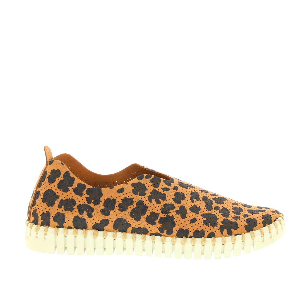 Ilse Jacobsen 'Print Tulip' / Chestnut Leopard