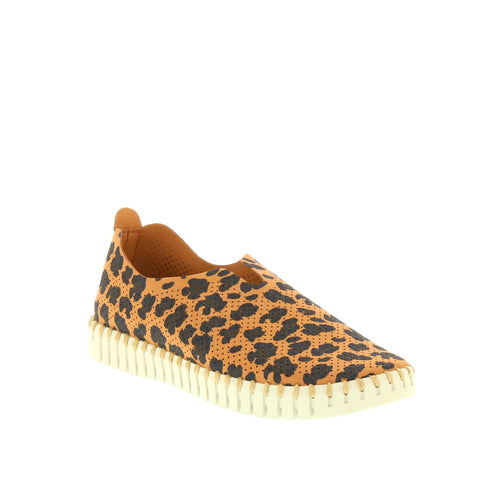 Ilse Jacobsen 'Print Tulip' / Chestnut Leopard