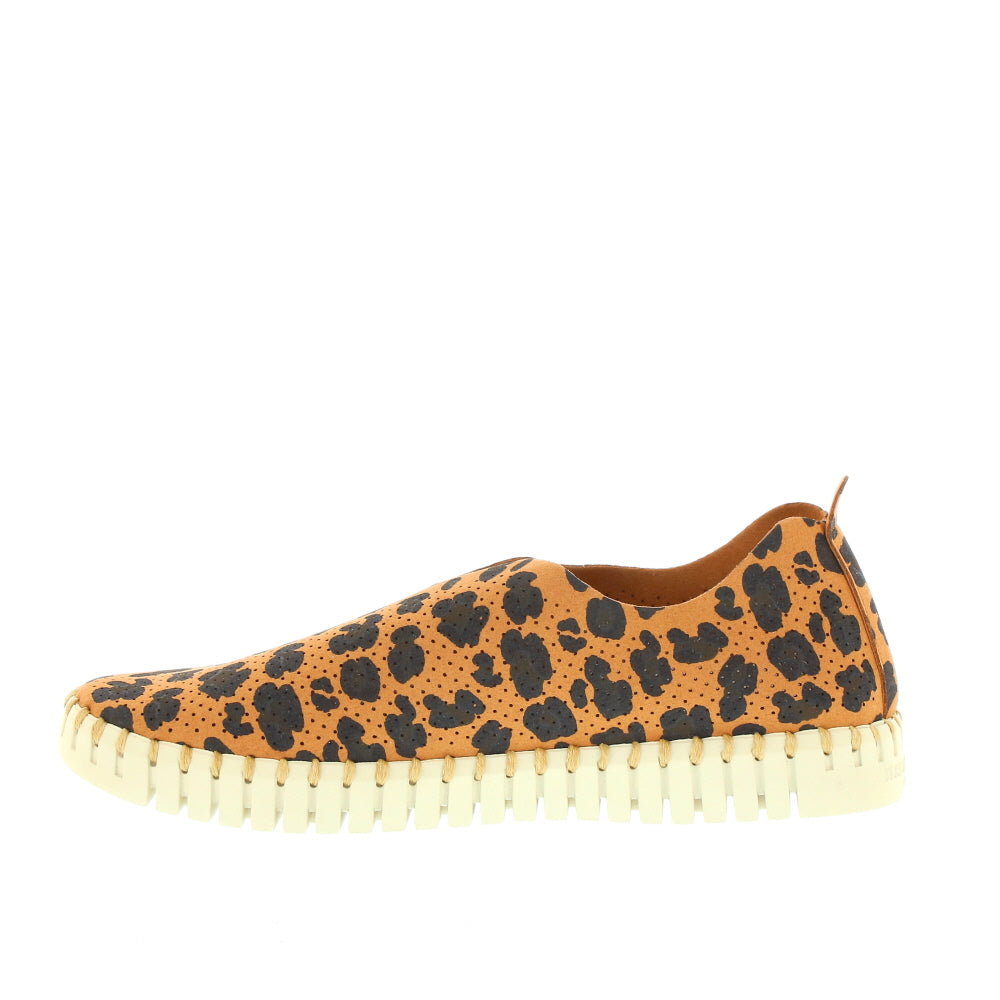 Ilse Jacobsen 'Print Tulip' / Chestnut Leopard