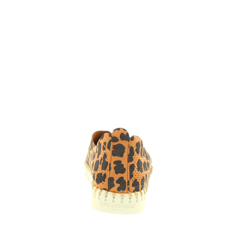 Ilse Jacobsen 'Print Tulip' / Chestnut Leopard