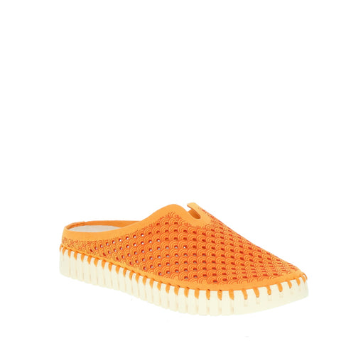Ilse Jacobsen ‘Tulip 3071' / Mango Sorbet