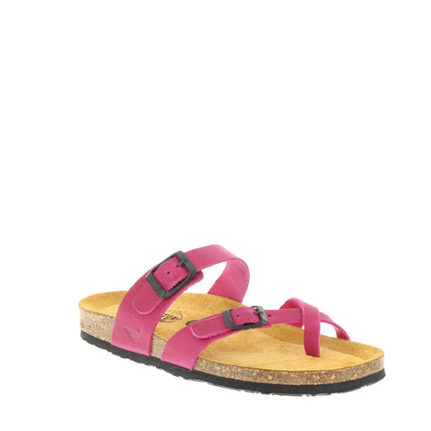 Plakton '181032' / Fuxia