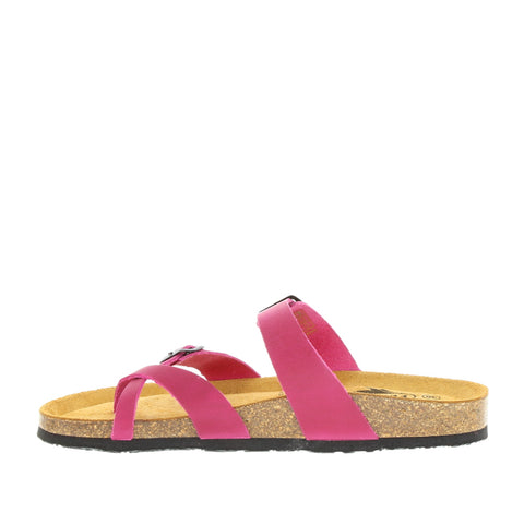 Plakton '181032' / Fuxia