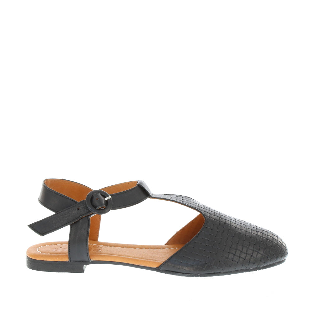 Thyme 'Trilby' / Black