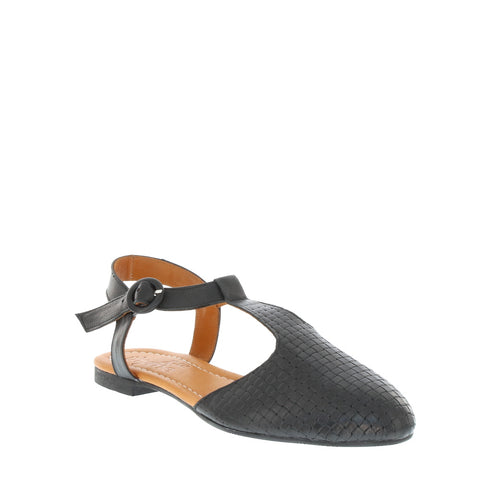 Thyme 'Trilby' / Black