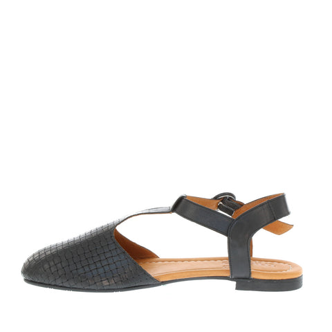 Thyme 'Trilby' / Black