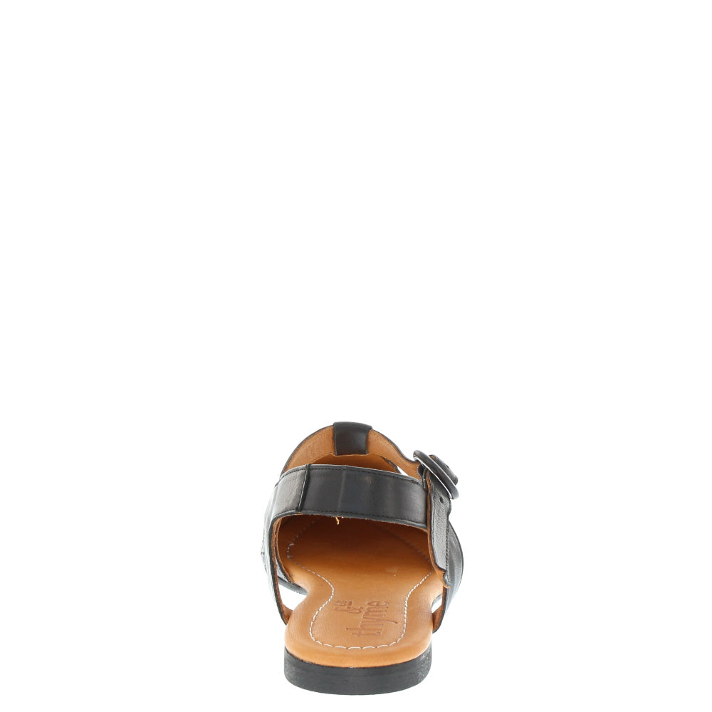 Thyme 'Trilby' / Black