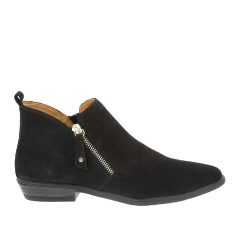 Thyme 'Trobil' / Black