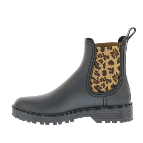 Verbenas 'Gaudi' / Negro/Leopardo