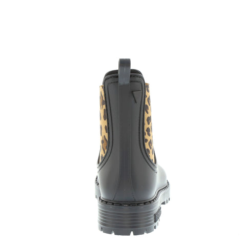 Verbenas 'Gaudi' / Negro/Leopardo