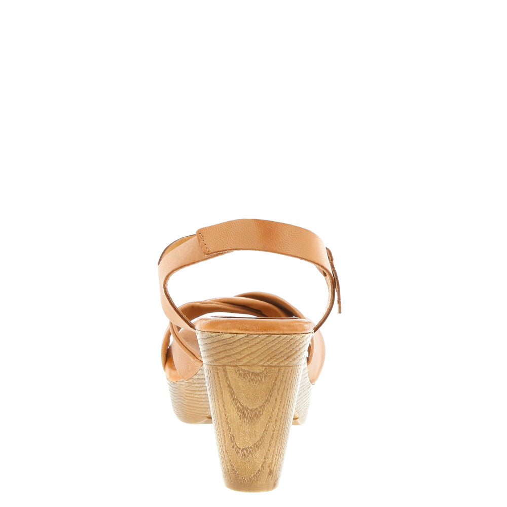 Zeta 'Fortuna' / Caoba