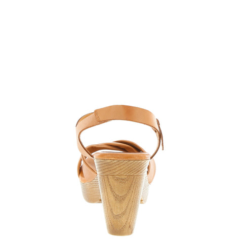 Zeta 'Fortuna' / Caoba